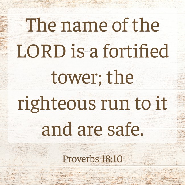 The name of the LORD is a fortified tower; the righteous run to it and are safe. - Proverbs 18:10