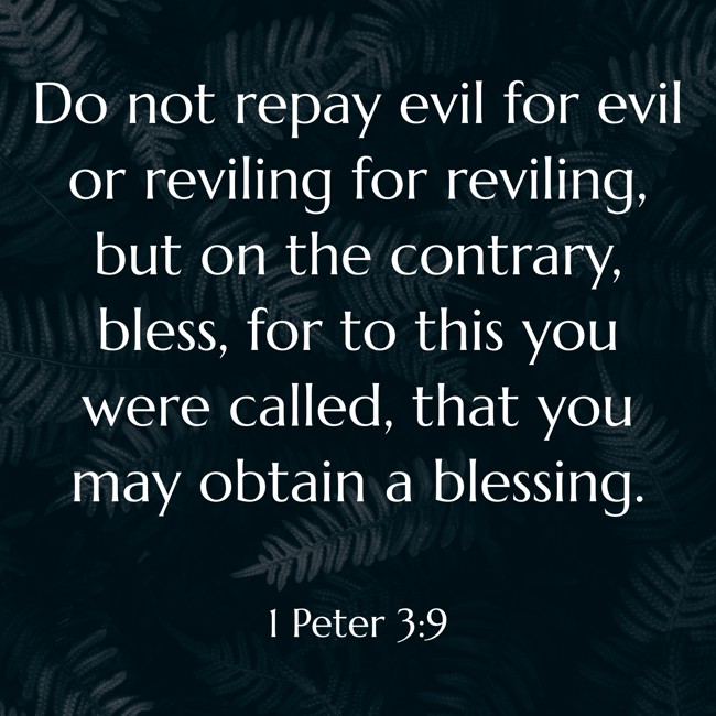  Do not repay evil for evil or reviling for reviling, but on the contrary, bless, for to this you were called, that you may obtain a blessing.   - 1 Peter 3:9 