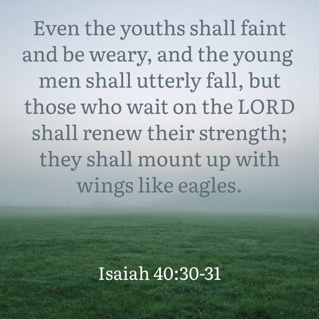 Even the youths shall faint and be weary, and the young men shall utterly fall, but those who wait on the LORD shall renew their strength; they shall mount up with wings like eagles. - Isaiah 40:30-31