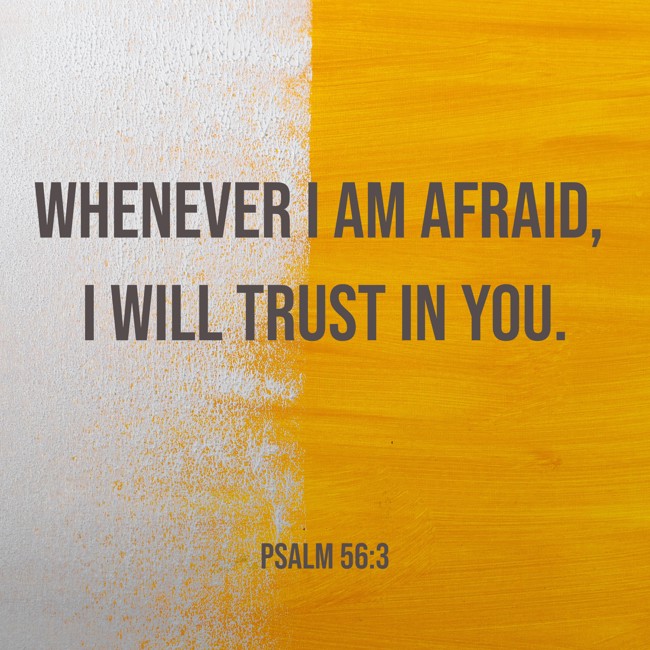 Whenever I am afraid, I will trust in You. - Psalm 56:3