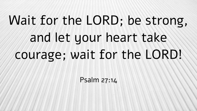 Wait for the LORD; be strong, and let your heart take courage; wait for the LORD! - Psalm 27:14