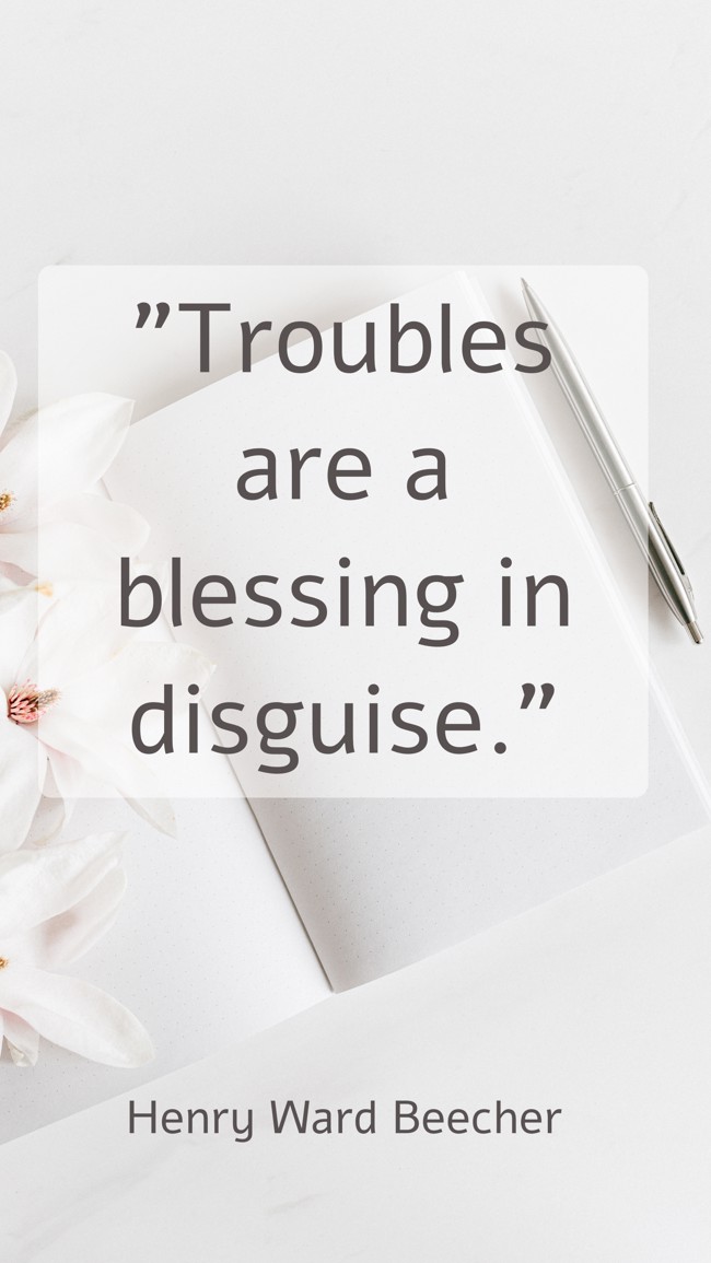 Troubles are a blessing in disguise. - Henry Ward Beecher