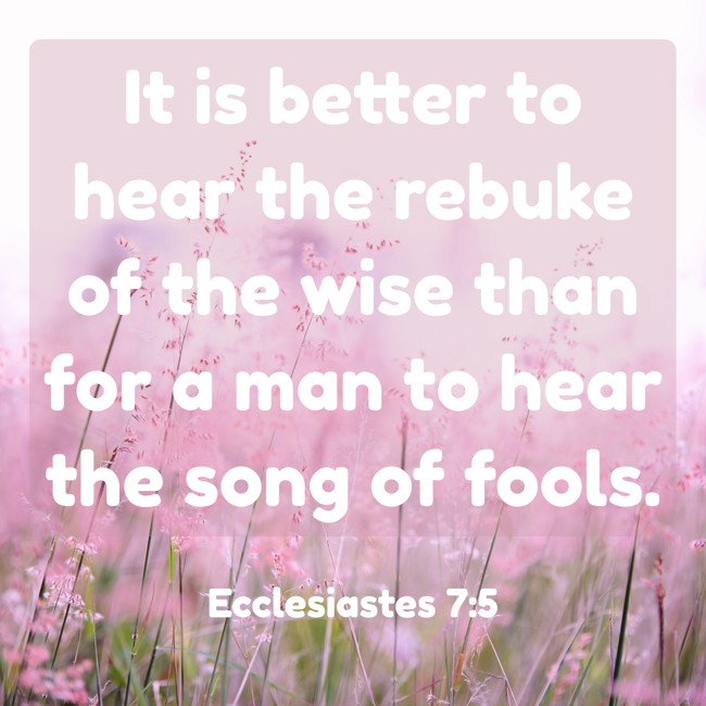 It is better to hear the rebuke of the wise than for a man to hear the song of fools. - Ecclesiastes 7:5