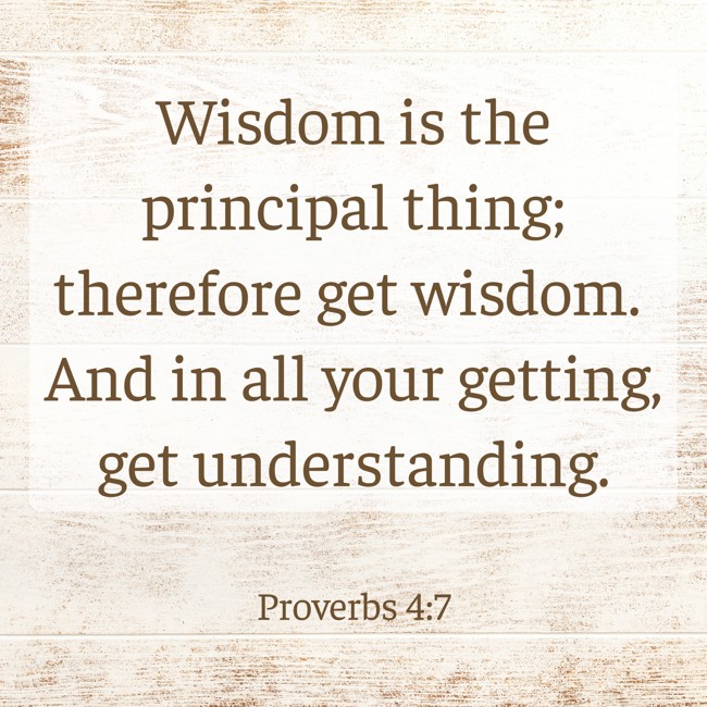 Wisdom is the principal thing; therefore get wisdom. And in all your getting, get understanding. - Proverbs 4:7