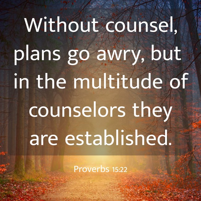 Without counsel, plans go awry, but in the multitude of counselors they are established. - Proverbs 15:22