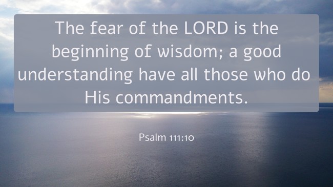 The fear of the LORD is the beginning of wisdom; a good understanding have all those who do His commandments. - Psalm 111:10