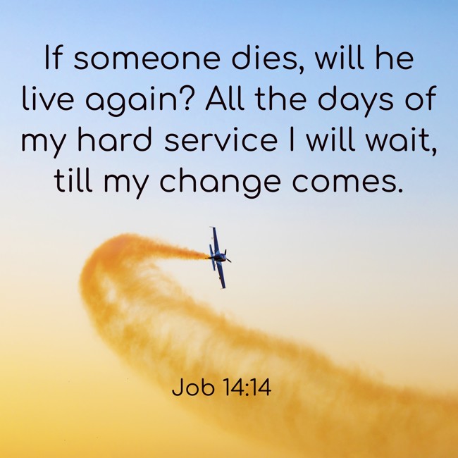 If someone dies, will he live again? All the days of my hard service I will wait, till my change comes. - Job 14:14