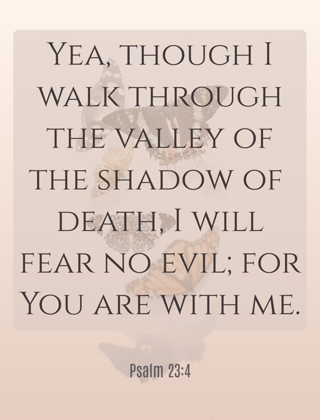 Yea, though I walk through the valley of the shadow of death, I will fear no evil; for You are with me. - Psalm 23:4