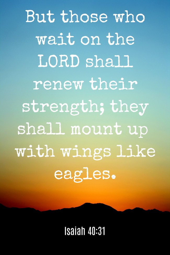 But those who wait on the LORD shall renew their strength; they shall mount up with wings like eagles. - Isaiah 40:31