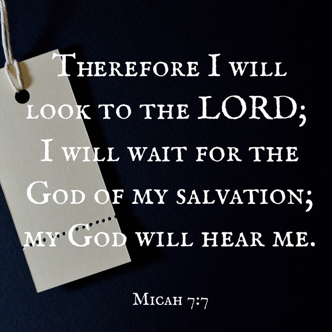 Therefore I will look to the LORD; I will wait for the God of my salvation; my God will hear me. - Micah 7:7
