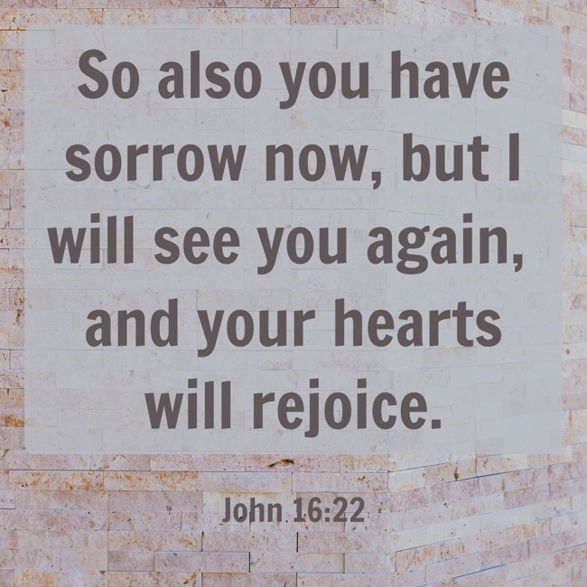 So also you have sorrow now, but I will see you again, and your hearts will rejoice. - John 16:22