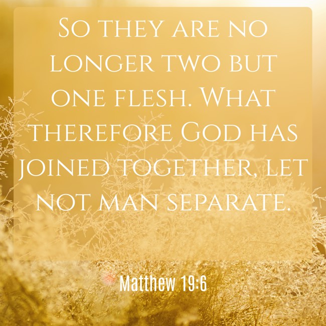 So they are no longer two but one flesh. What therefore God has joined together, let not man separate. - Matthew 19:6