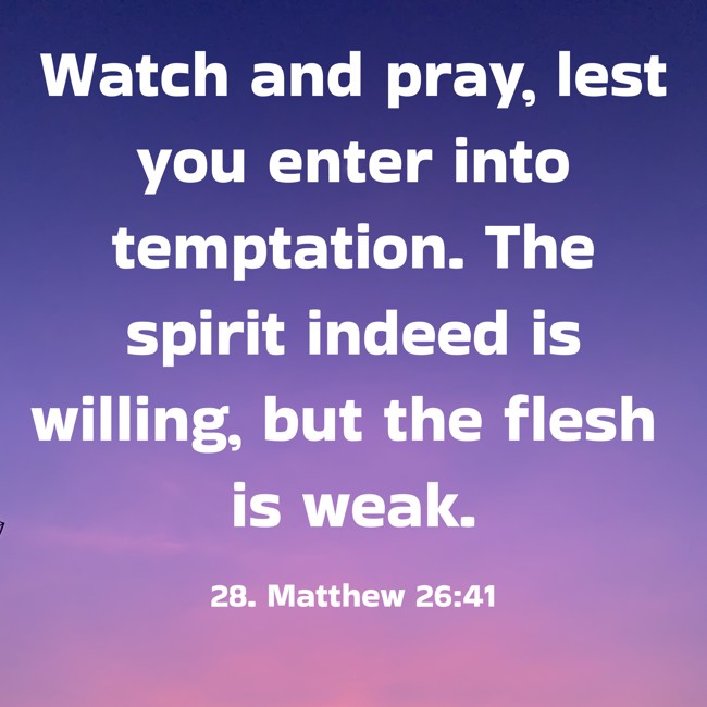 Watch and pray, lest you enter into temptation. The spirit indeed is willing, but the flesh is weak.
- 28. Matthew 26:41