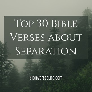 Top 30 Bible Verses about Separation