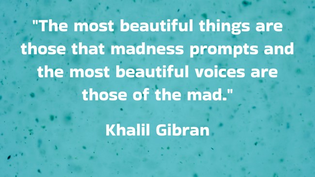 The most beautiful things are those that madness prompts and the most beautiful voices are those of the mad. - Khalil Gibran