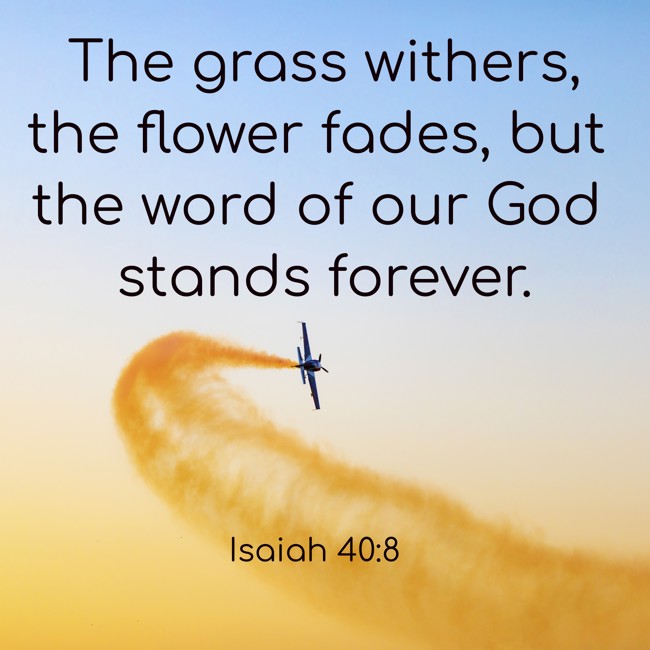 The grass withers, the flower fades, but the word of our God stands forever. - Isaiah 40:8