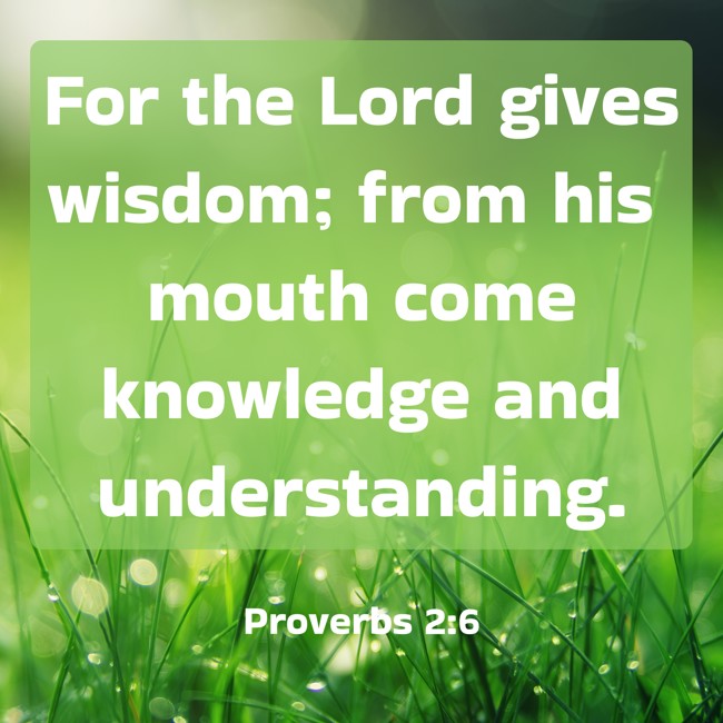 For the Lord gives wisdom; from his mouth come knowledge and understanding. - Proverbs 2:6