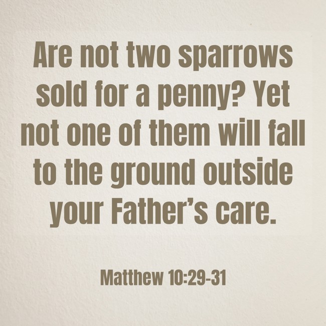 Are not two sparrows sold for a penny? Yet not one of them will fall to the ground outside your Father’s care. - Matthew 10:29-31
