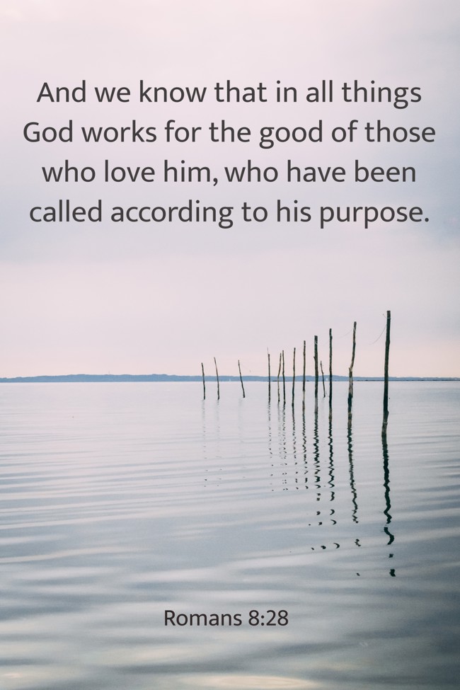 And we know that in all things God works for the good of those who love him, who have been called according to his purpose. - Romans 8:28