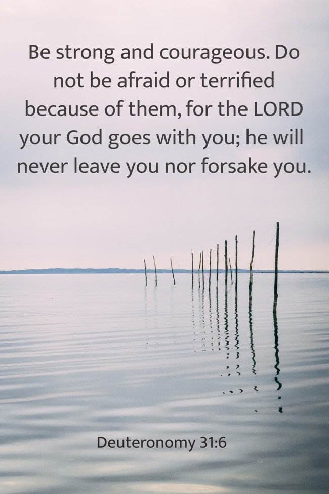 Be strong and courageous. Do not be afraid or terrified because of them, for the LORD your God goes with you; he will never leave you nor forsake you. - Deuteronomy 31:6