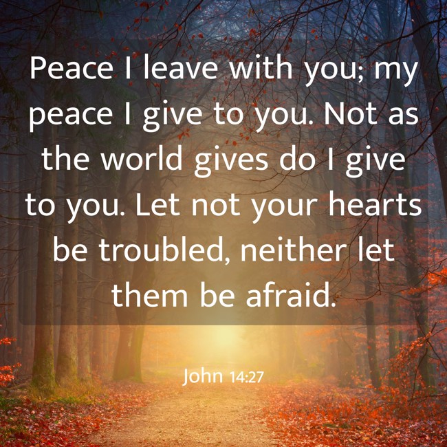 Peace I leave with you; my peace I give to you. Not as the world gives do I give to you. Let not your hearts be troubled, neither let them be afraid. - John 14:27