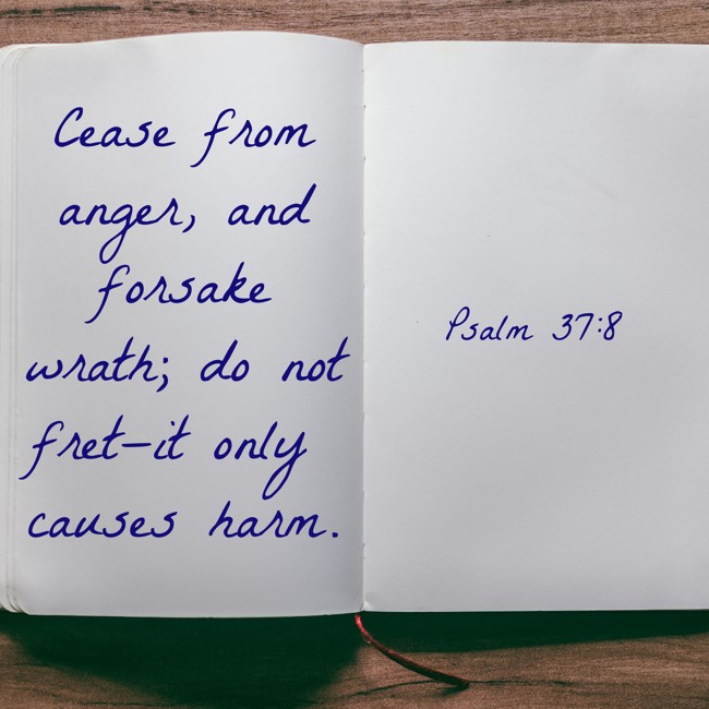 Cease from anger, and forsake wrath; do not fret—it only causes harm. - Psalm 37:8