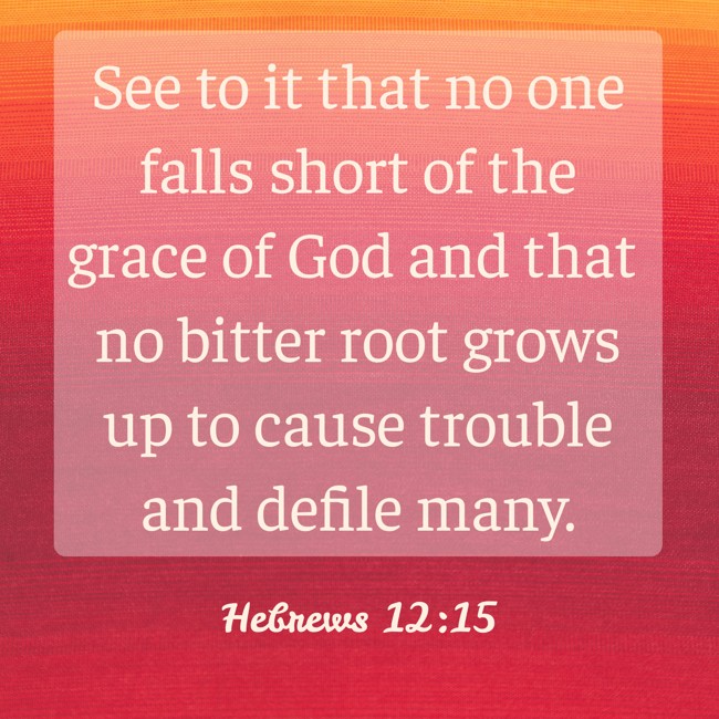 See to it that no one falls short of the grace of God and that no bitter root grows up to cause trouble and defile many. - Hebrews 12:15
