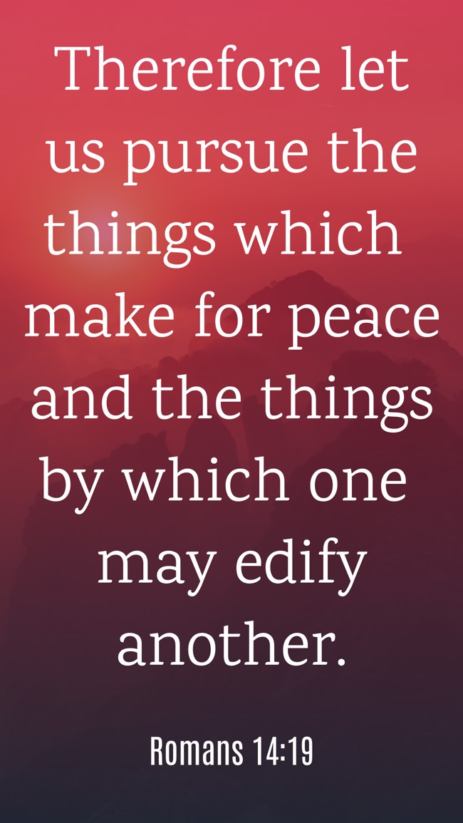 Therefore let us pursue the things which make for peace and the things by which one may edify another. - Romans 14:19
