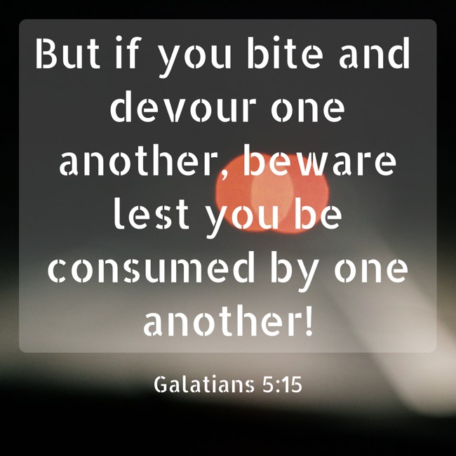 But if you bite and devour one another, beware lest you be consumed by one another! - Galatians 5:15