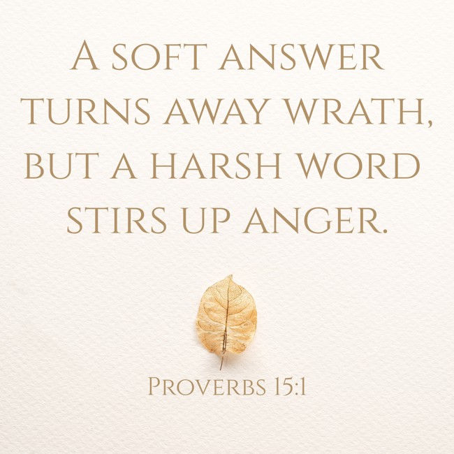 A soft answer turns away wrath, but a harsh word stirs up anger. - Proverbs 15:1