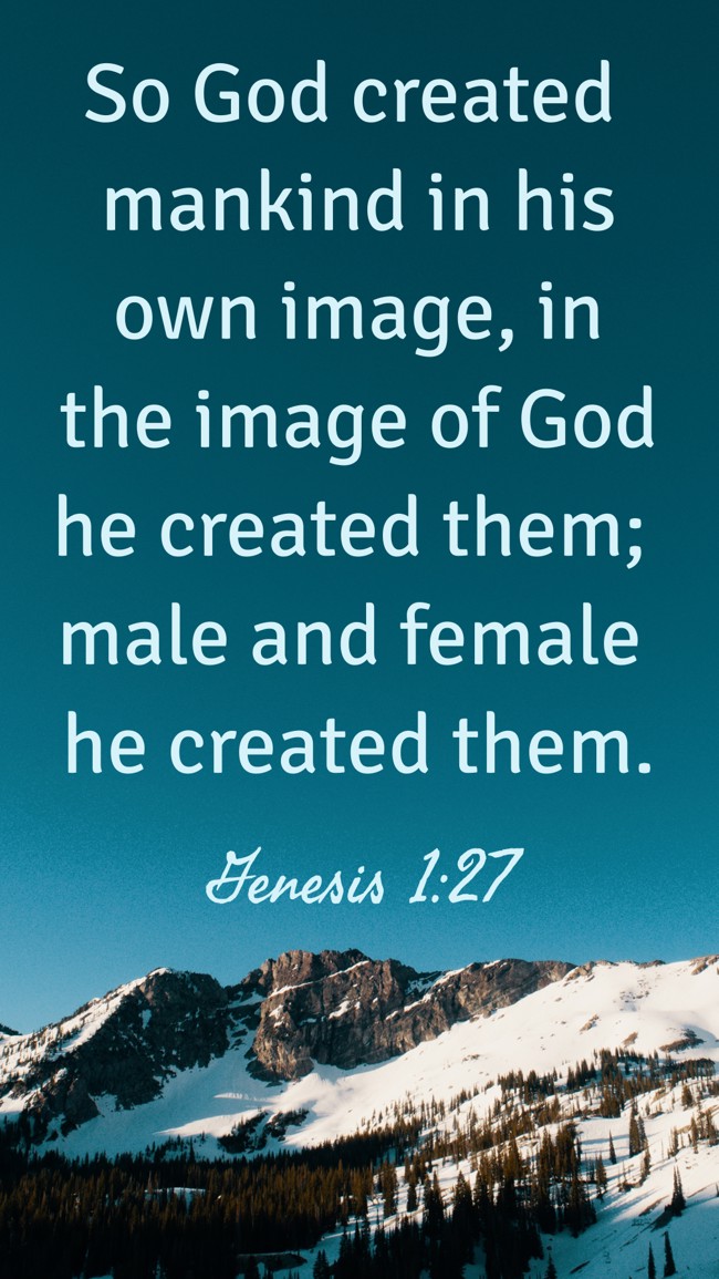  So God created mankind in his own image, in the image of God he created them; male and female he created them.   - Genesis 1:27 