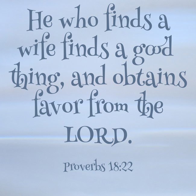  He who finds a wife finds a good thing, and obtains favor from the LORD.   - Proverbs 18:22 