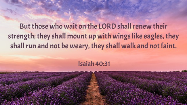 But those who wait on the LORD shall renew their strength; they shall mount up with wings like eagles, they shall run and not be weary, they shall walk and not faint. - Isaiah 40:31