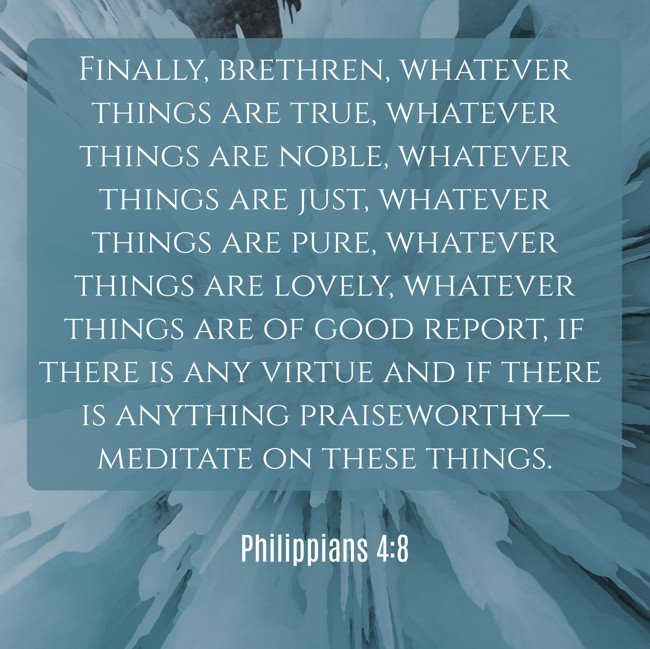 Finally, brethren, whatever things are true, whatever things are noble, whatever things are just, whatever things are pure, whatever things are lovely, whatever things are of good report, if there is any virtue and if there is anything praiseworthy—meditate on these things. - Philippians 4:8