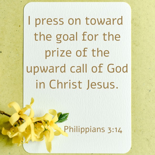 I press on toward the goal for the prize of the upward call of God in Christ Jesus. - Philippians 3:14