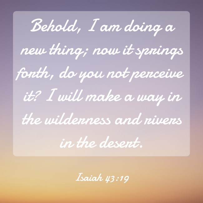Behold, I am doing a new thing; now it springs forth, do you not perceive it? I will make a way in the wilderness and rivers in the desert. - Isaiah 43:19