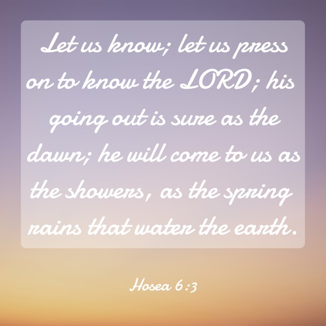 Let us know; let us press on to know the LORD; his going out is sure as the dawn; he will come to us as the showers, as the spring rains that water the earth. - Hosea 6:3