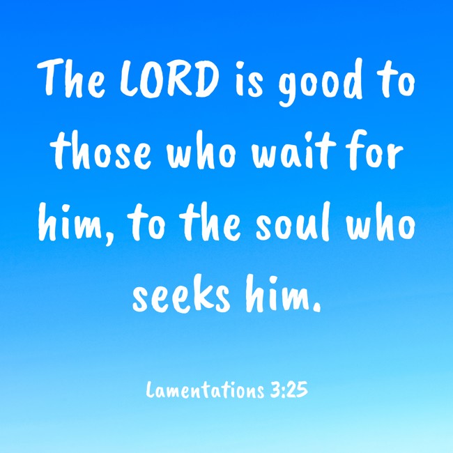 The LORD is good to those who wait for him, to the soul who seeks him. - Lamentations 3:25