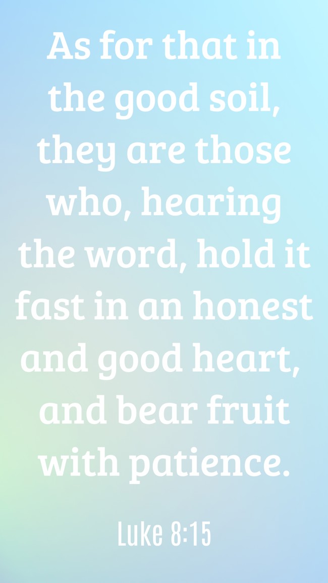 As for that in the good soil, they are those who, hearing the word, hold it fast in an honest and good heart, and bear fruit with patience. - Luke 8:15
