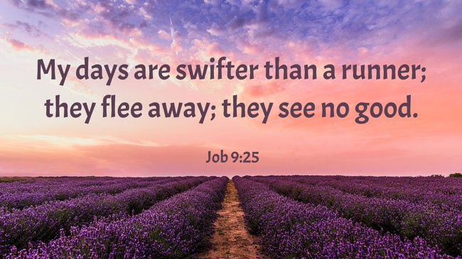 My days are swifter than a runner; they flee away; they see no good. - Job 9:25