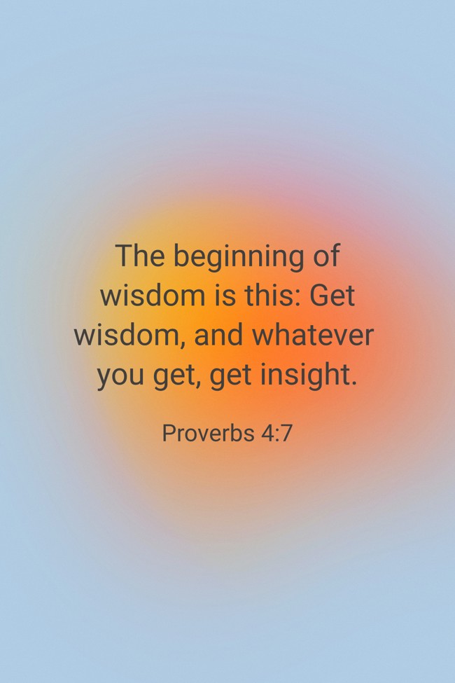 The beginning of wisdom is this: Get wisdom, and whatever you get, get insight. - Proverbs 4:7