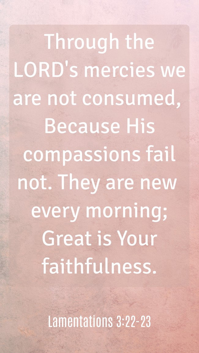 Through the LORD's mercies we are not consumed, Because His compassions fail not. They are new every morning; Great is Your faithfulness. - Lamentations 3:22-23