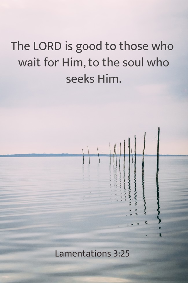The LORD is good to those who wait for Him, to the soul who seeks Him. - Lamentations 3:25