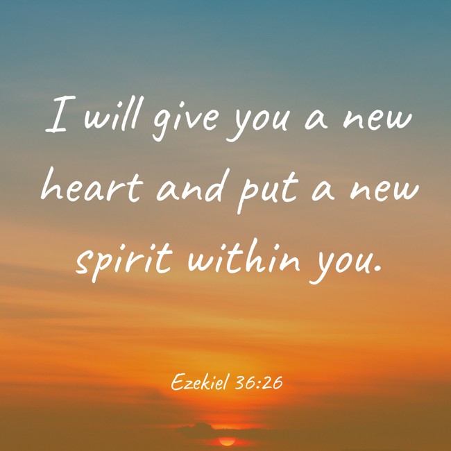 I will give you a new heart and put a new spirit within you. - Ezekiel 36:26