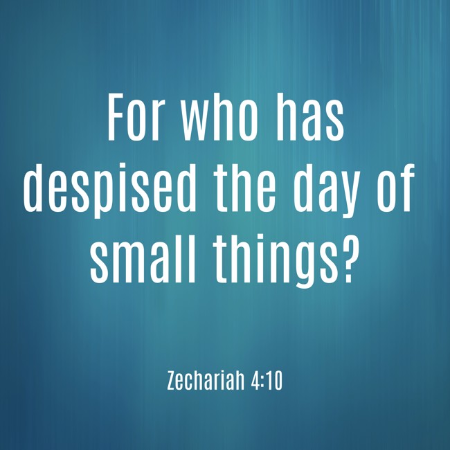 For who has despised the day of small things? - Zechariah 4:10