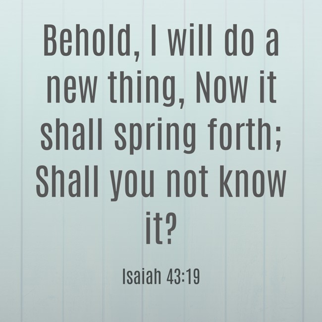 Behold, I will do a new thing, Now it shall spring forth; Shall you not know it? - Isaiah 43:19