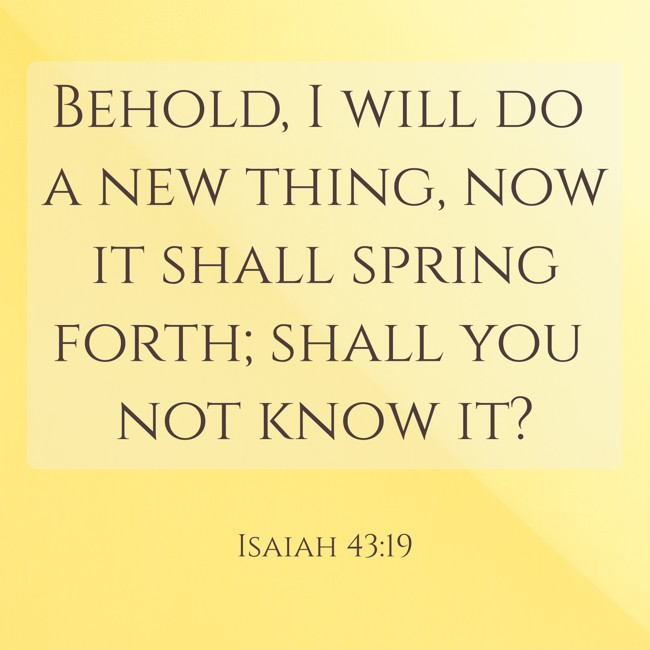 Behold, I will do a new thing, now it shall spring forth; shall you not know it? - Isaiah 43:19