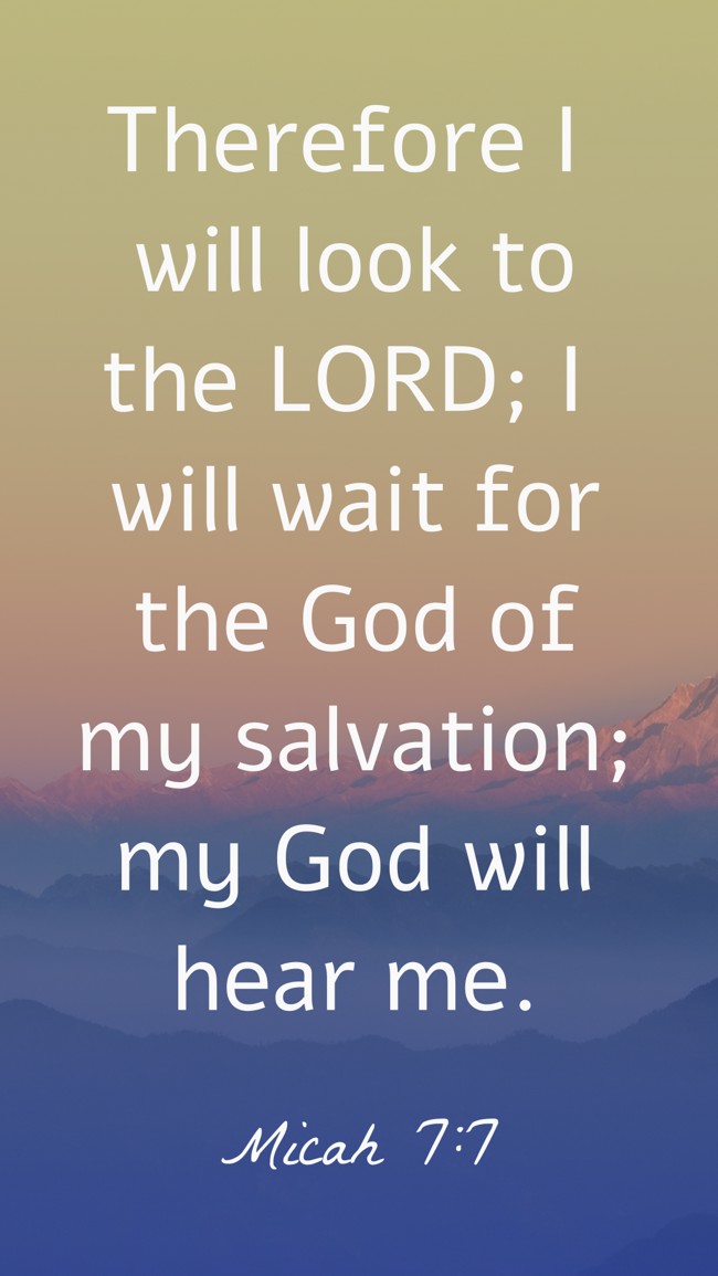 Therefore I will look to the LORD; I will wait for the God of my salvation; my God will hear me. - Micah 7:7