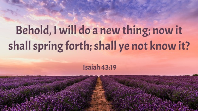 Behold, I will do a new thing; now it shall spring forth; shall ye not know it? - Isaiah 43:19