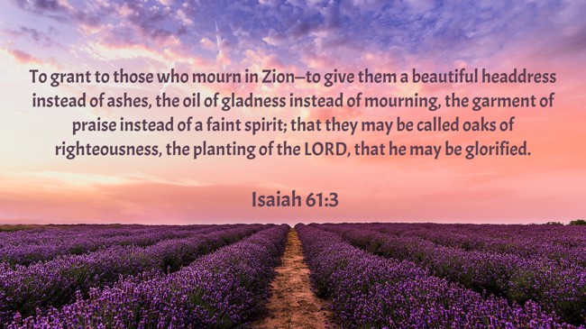 To grant to those who mourn in Zion—to give them a beautiful headdress instead of ashes, the oil of gladness instead of mourning, the garment of praise instead of a faint spirit; that they may be called oaks of righteousness, the planting of the LORD, that he may be glorified. - Isaiah 61:3